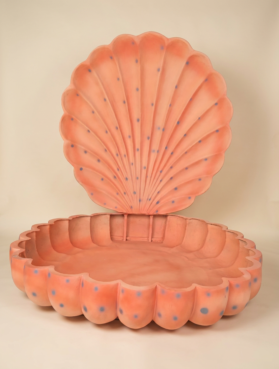 Coral Shell Studio