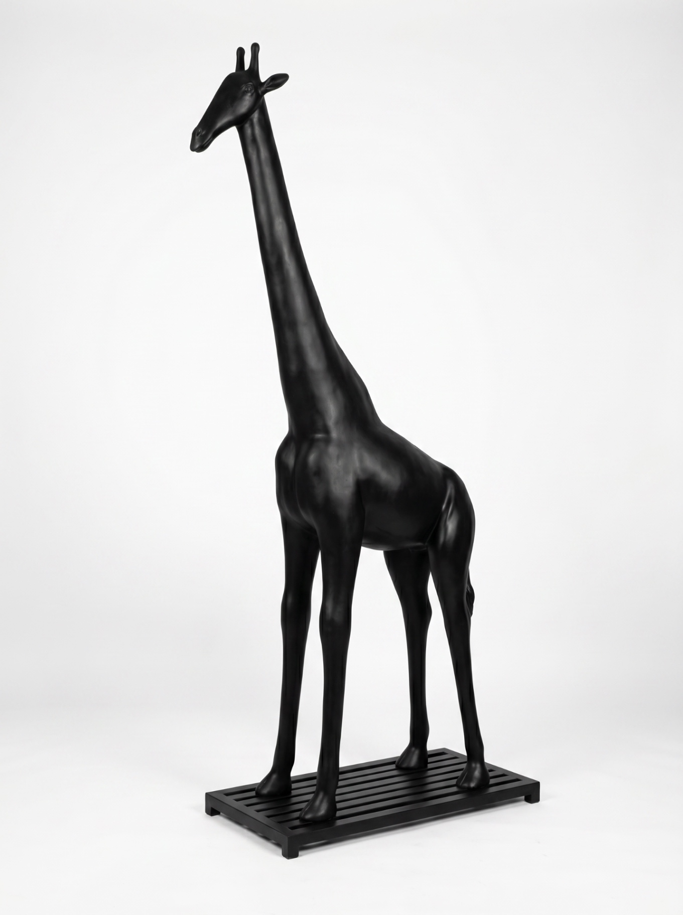 Black Giraffe