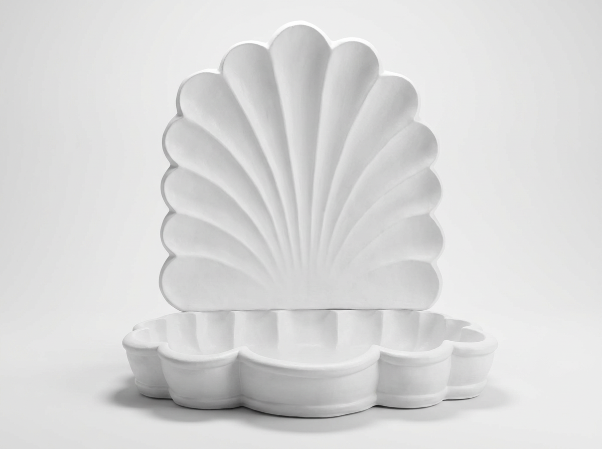 Seashell Backdrop