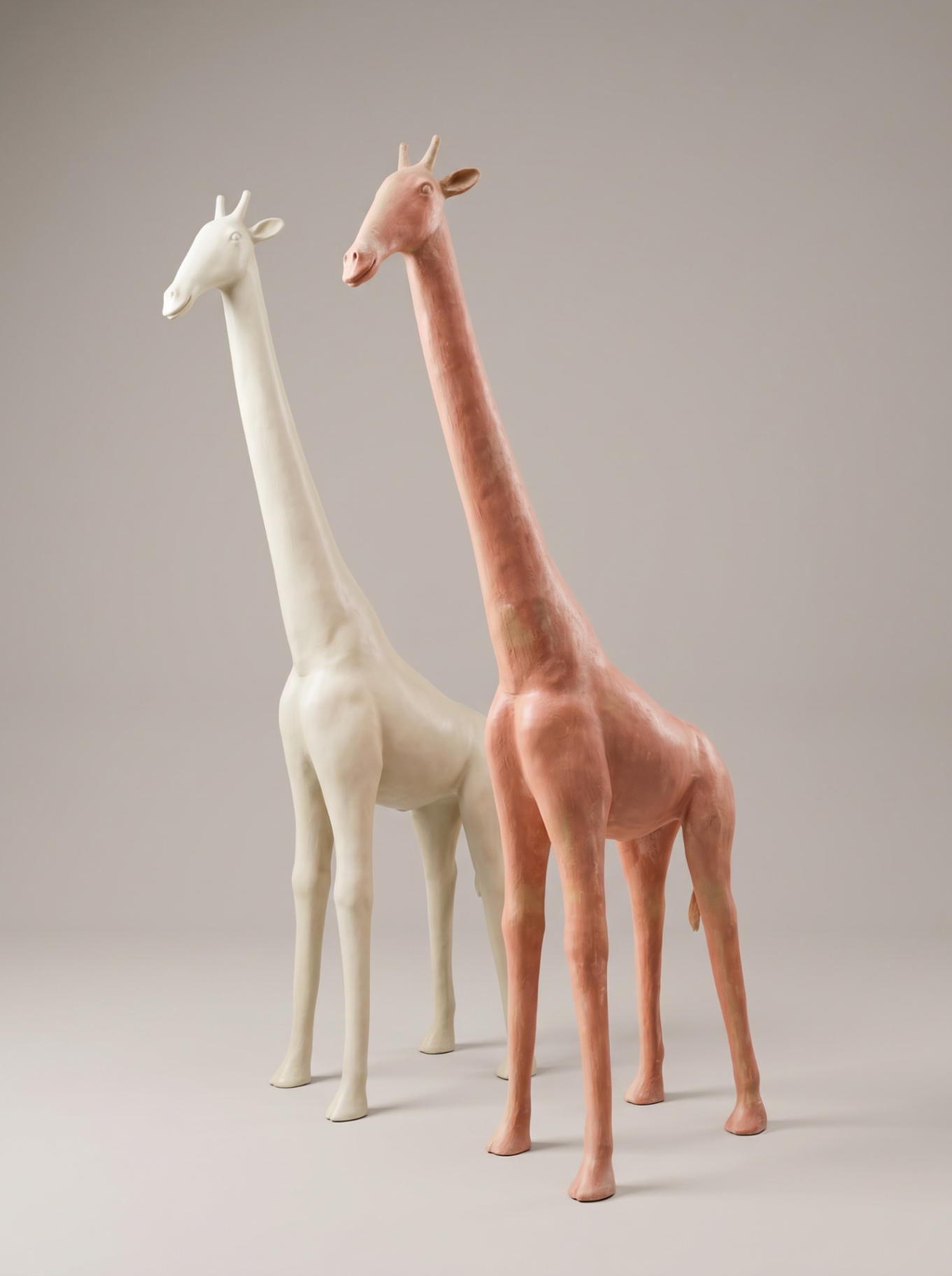 Giraffes Pair Studio