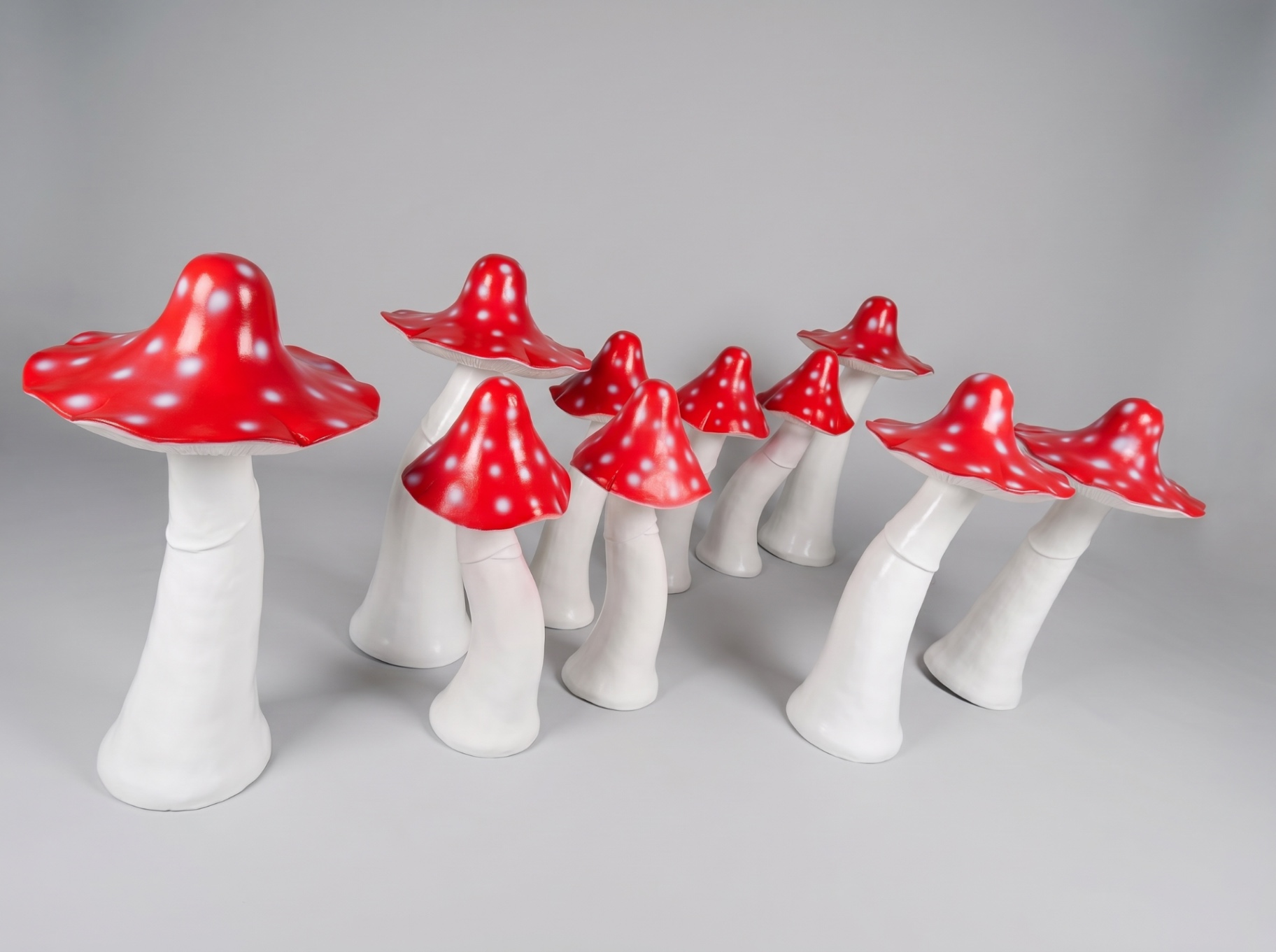 Mushrooms Studio