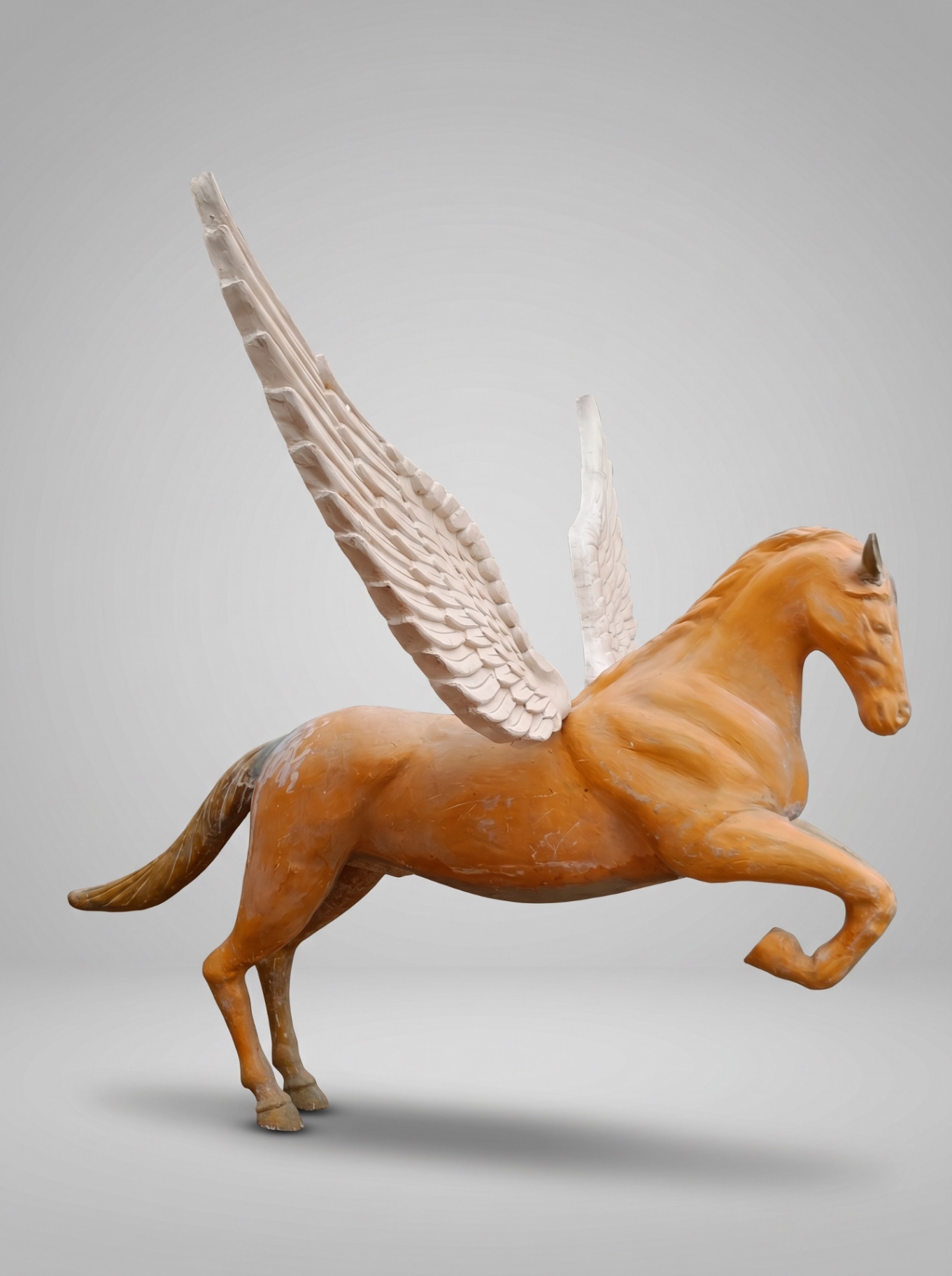Pegasus Studio