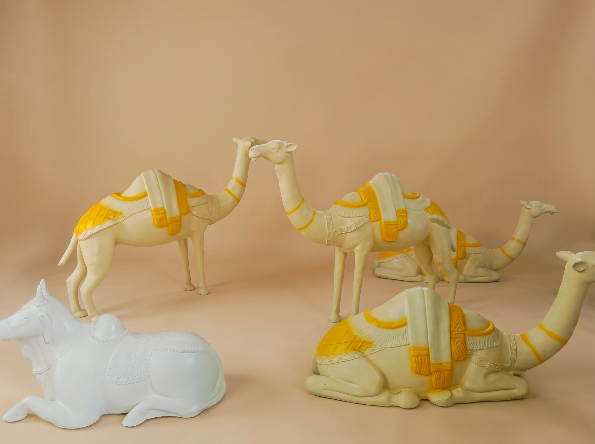 Product Yellow Camels