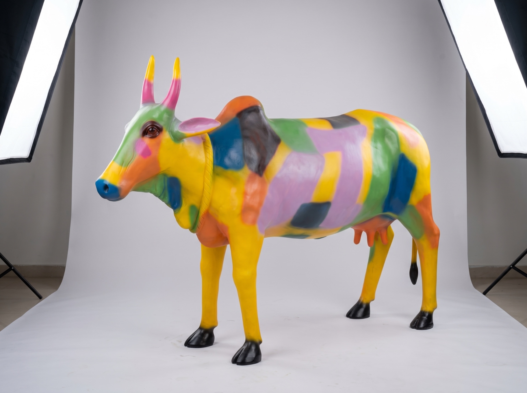 Colorful Cow Studio