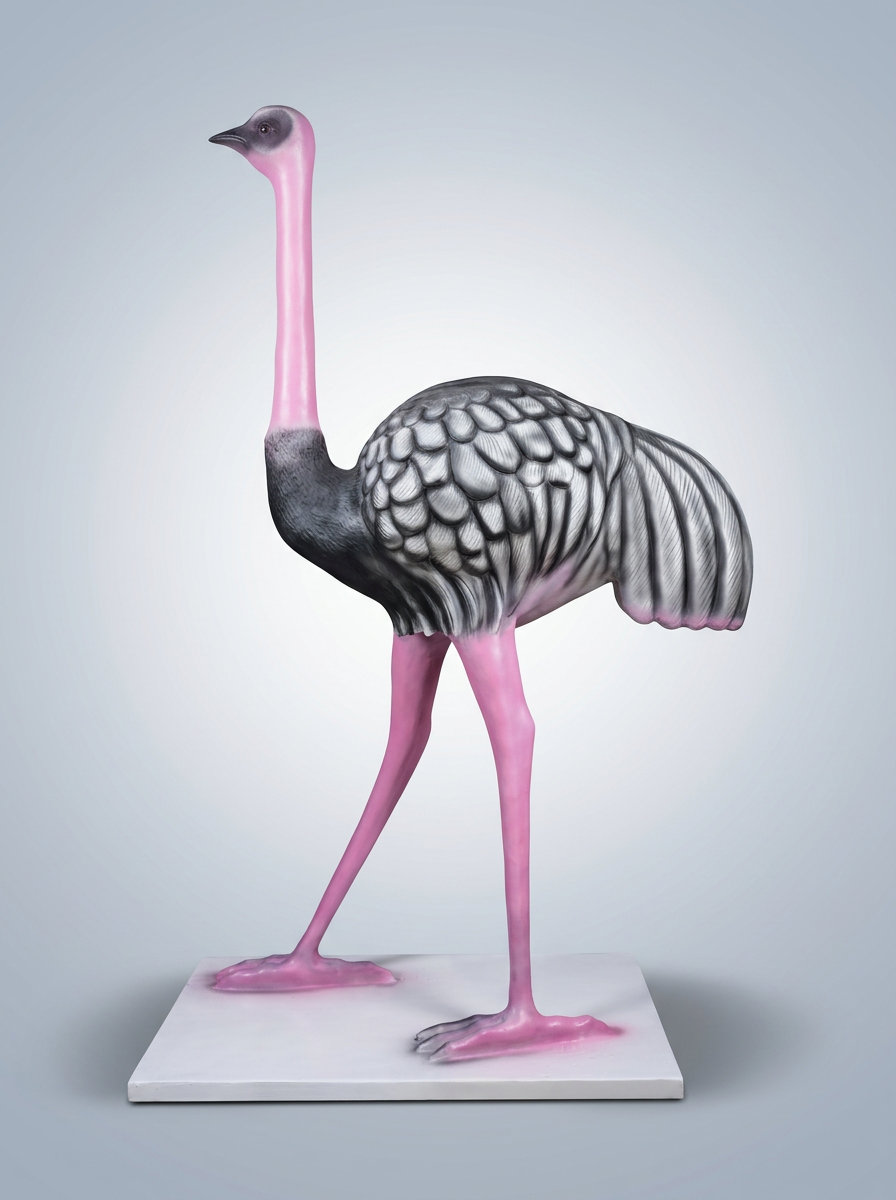 Ostrich