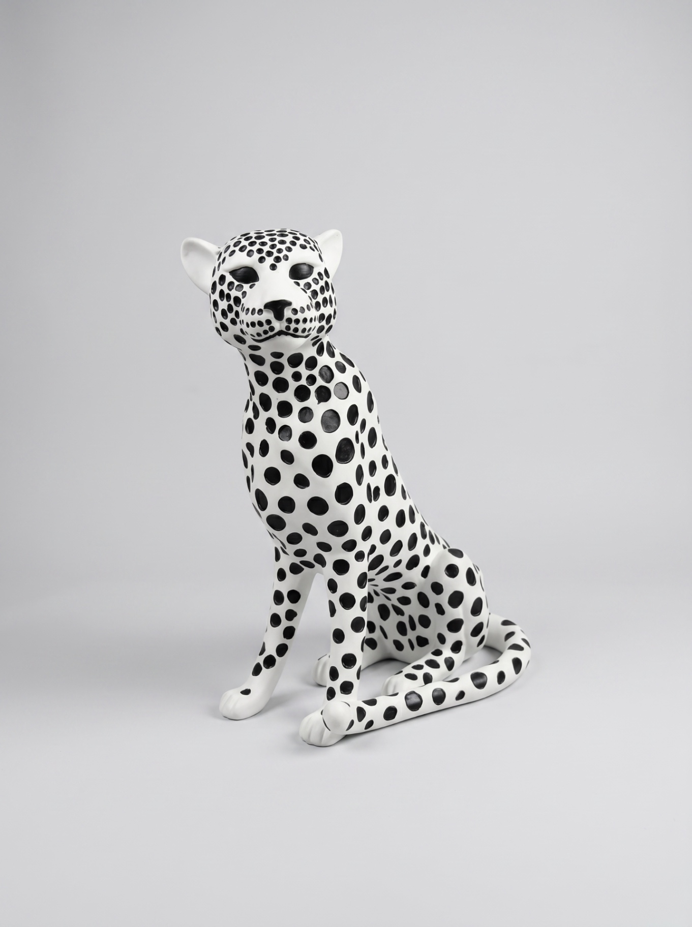 Spotted Leopard2 Studio