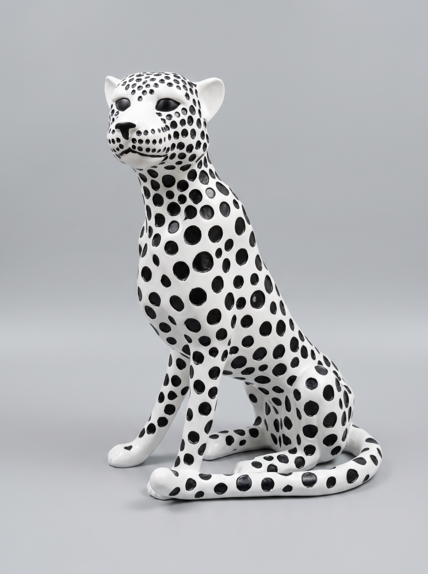 Spotted Leopard Studio