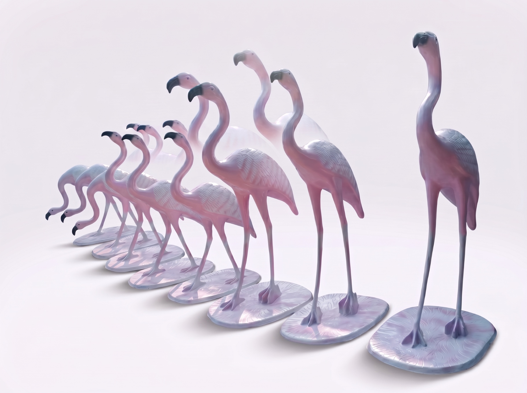 Flamingos