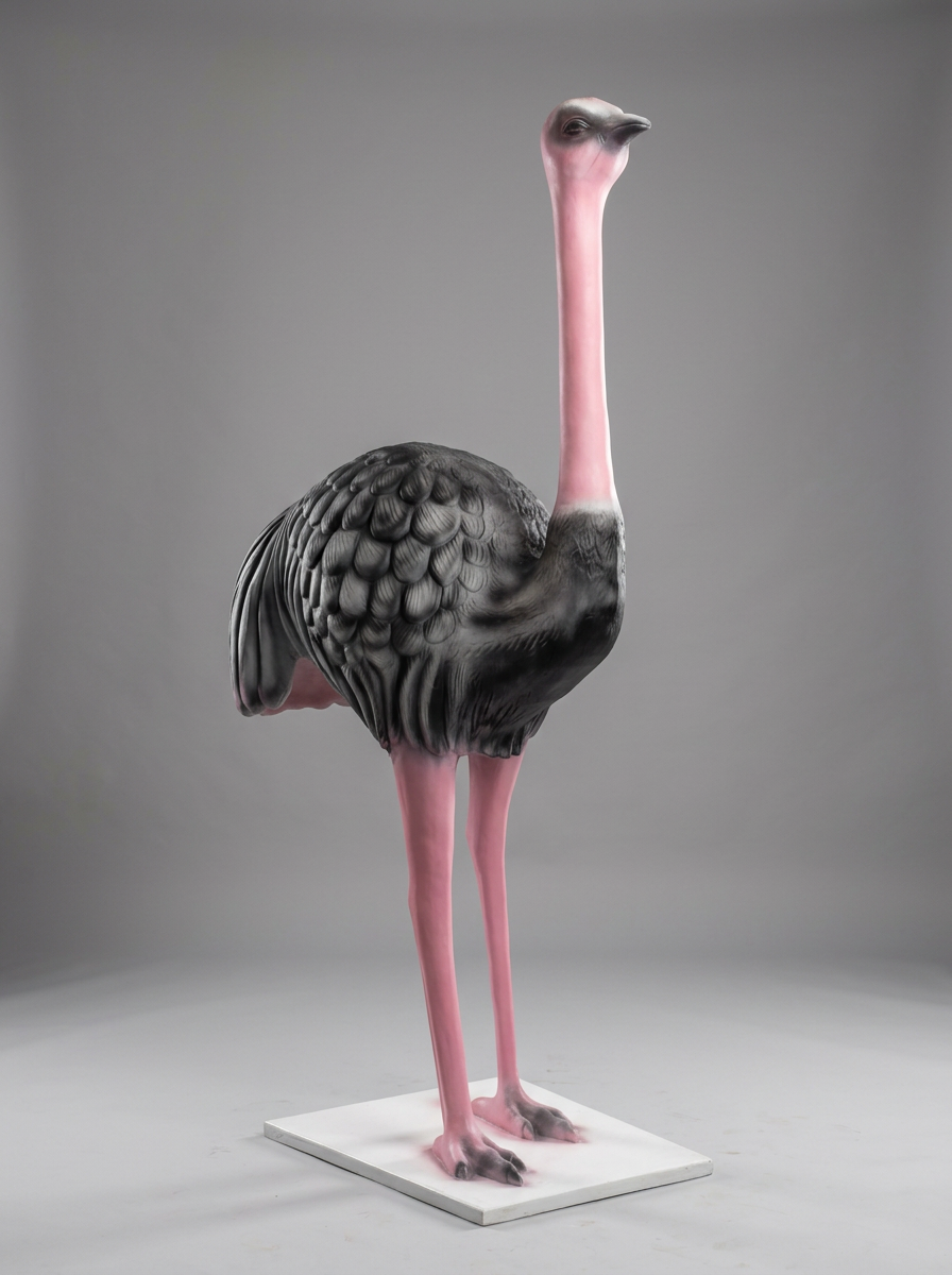 Ostrich Studio