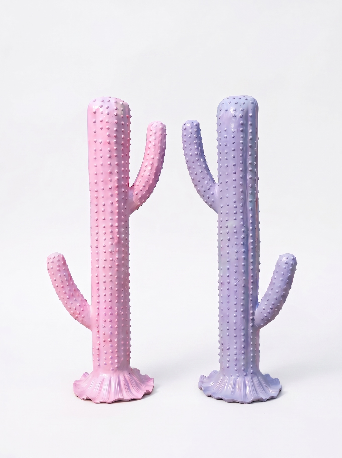 Cactus Pair